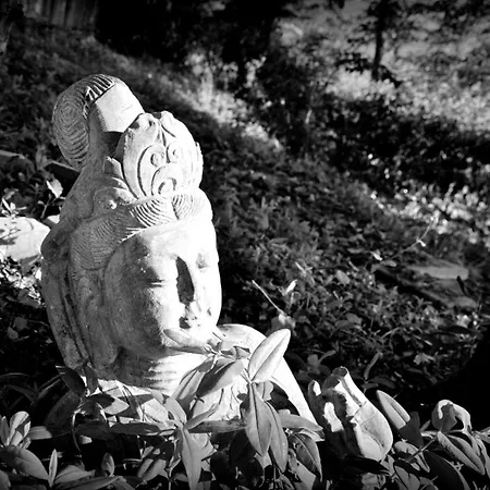 Studio Via Consolazione - 2 * Castel Colonna