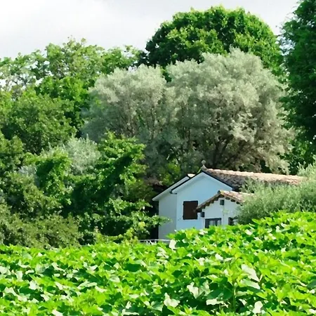 Studio Via Consolazione - 2 *